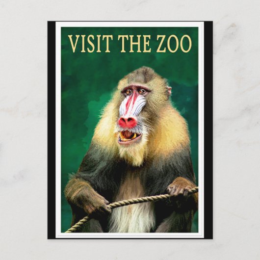 Visit the Zoo, vintage travel poster ポストカード (正面)