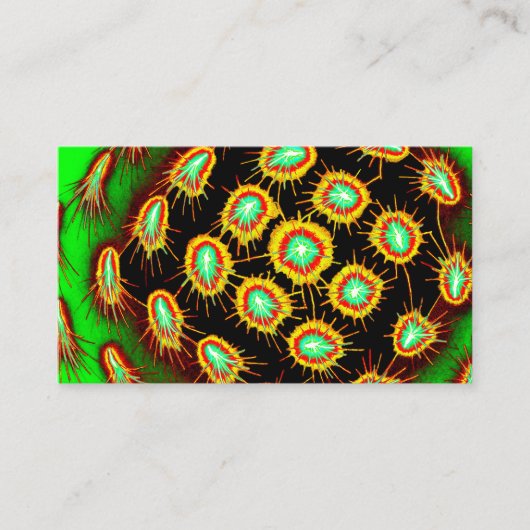 Visitenkarte 名刺 (正面)