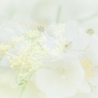 Visittekaartje metマクロブルーメデザイン 名刺