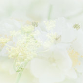 Visittekaartje metマクロブルーメデザイン 名刺