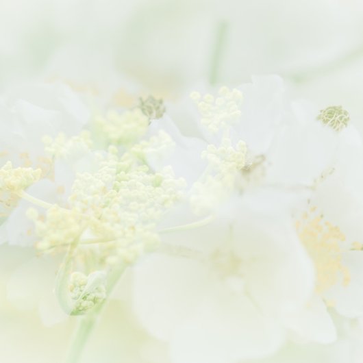 Visittekaartje metマクロブルーメデザイン 名刺