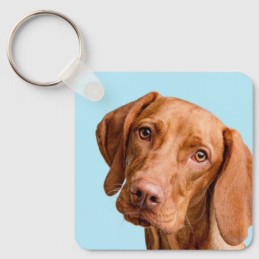 Visla キーホルダー (正面)