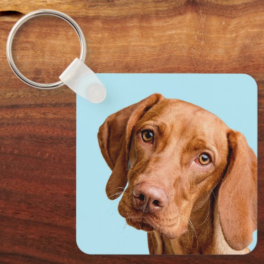 Visla キーホルダー (正面)