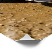 Vissende Fubby op een blikje aan de waterkant. ポスター (コーナー)