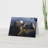 Vissende Fubby op een steen. サンキューカード (正面)