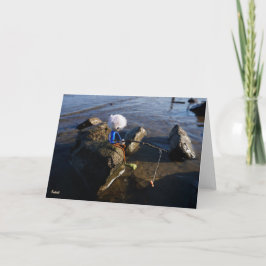 Vissende Fubby op een steen. サンキューカード