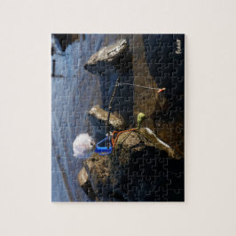 Vissende Fubby op een steen. ジグソーパズル