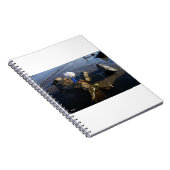 Vissende Fubby op een steen. ノートブック (右側)