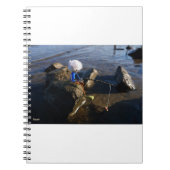 Vissende Fubby op een steen. ノートブック (正面)