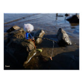 Vissende Fubby op een steen. ポスター (正面)