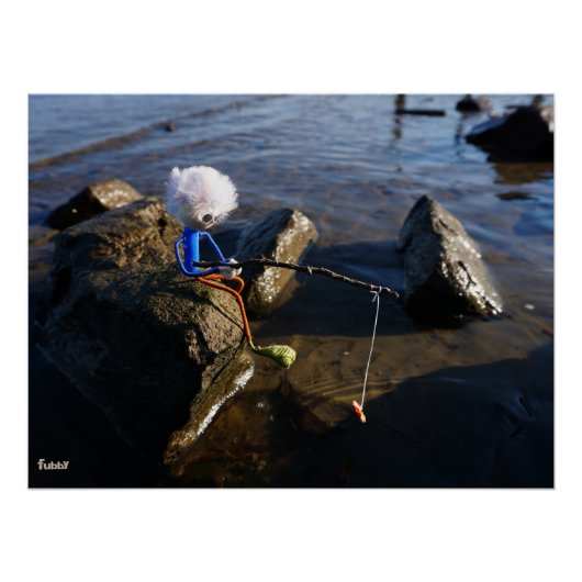 Vissende Fubby op een steen. ポスター (正面)