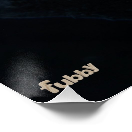 Vissende Fubby op een steen. ポスター (コーナー)