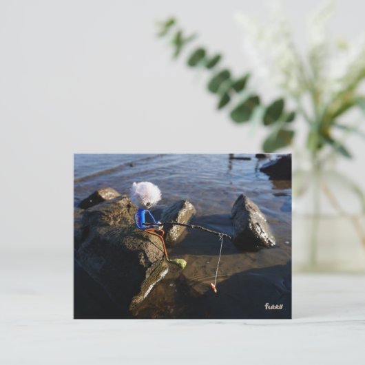 Vissende Fubby op een steen. ポストカード (スタンド正面)