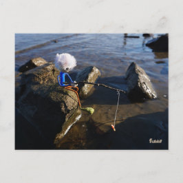 Vissende Fubby op een steen. ポストカード