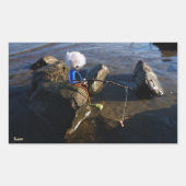 Vissende Fubby op een steen. 長方形シール (正面)