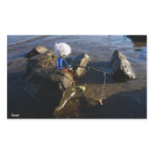 Vissende Fubby op een steen.