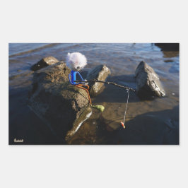 Vissende Fubby op een steen. 長方形シール