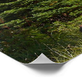 Vista Ridgeのフード山 ポスター (角)