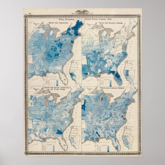 Vital statistics, United Census ポスター (正面)
