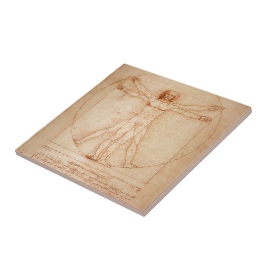 Vitruvianの人 タイル (側面)