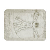 Vitruvian Man by Leonardo da Vinci マグネット (横)
