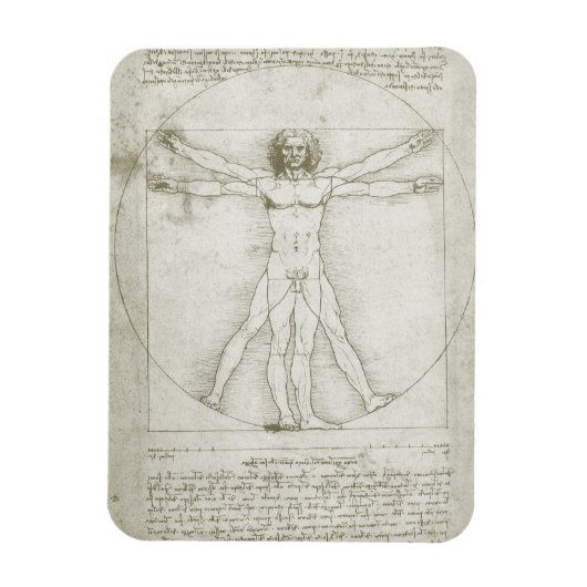 Vitruvian Man by Leonardo da Vinci マグネット (縦)