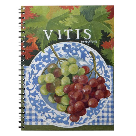 Vitus ノートブック (正面)