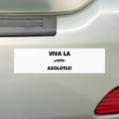 VivaのLaのアホロートル バンパーステッカー (車上)