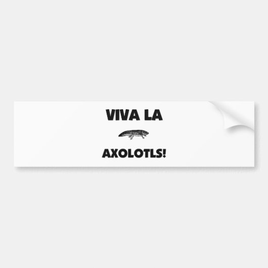 VivaのLaのアホロートル バンパーステッカー (正面)