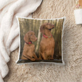 vizslaのグループ クッション (ブランケット)