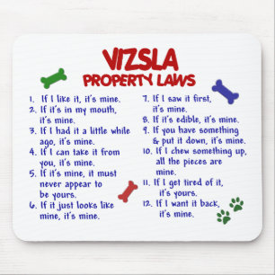 VIZSLAの特性の法律2 マウスパッド
