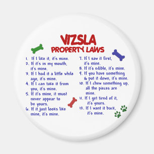 VIZSLAの特性の法律2 マグネット