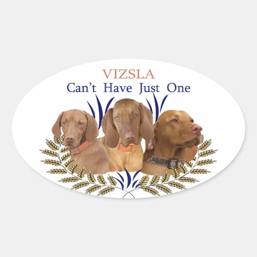 Vizslaは1つの製品しか持つことができない 楕円形シール (正面)