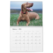Vizslaカレンダー2026 カレンダー (2月 2026)