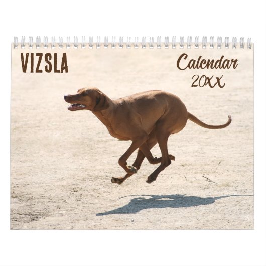 Vizslaカレンダー2026 カレンダー (カバー)