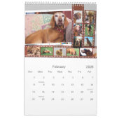 Vizslaカレン図解入りの、写真付きのダー カレンダー (2月 2026)