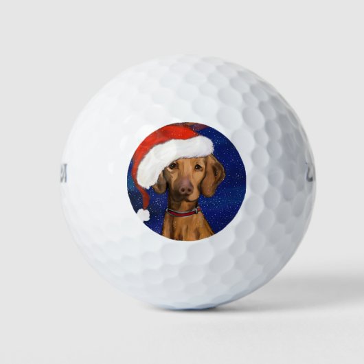 VIZSLAクリスマス ゴルフボール (正面)