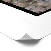 Vizslaポスター ポスター (角)