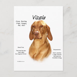 Vizsla履歴デザイン ポストカード