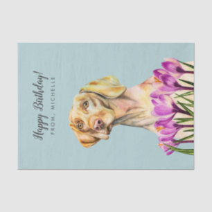 Vizsla犬の芸術 のハッピーバースデー 薄葉紙
