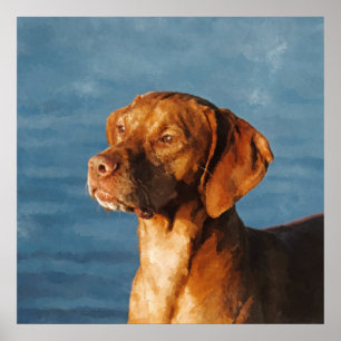 Vizsla犬-ハンガリーの猟犬 ポスター