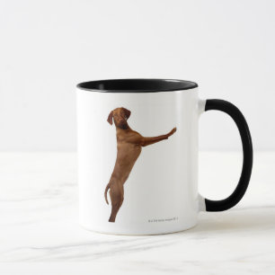 Vizsla犬 マグカップ