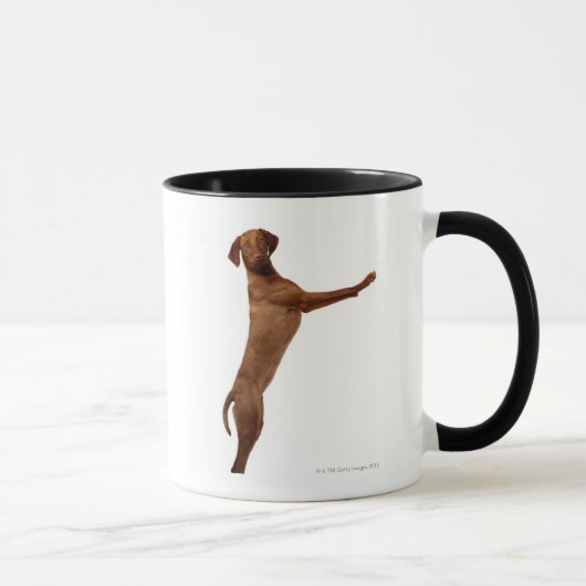 Vizsla犬 マグカップ (右)