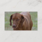 Vizsla素晴らしい犬 名刺 (裏面)