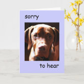 Vizsla -あなたは質素なカードを聞いて申し訳なく思います カード (黄色い花)