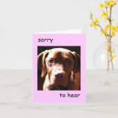 Vizsla -あなたは質素に聞いて申し訳なく思う(ピンク) カード (黄色い花)