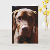 Vizsla -および彼らはそれを初恋と呼びます カード (黄色い花)