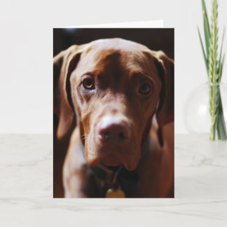Vizsla -および彼らはそれを初恋と呼びます カード