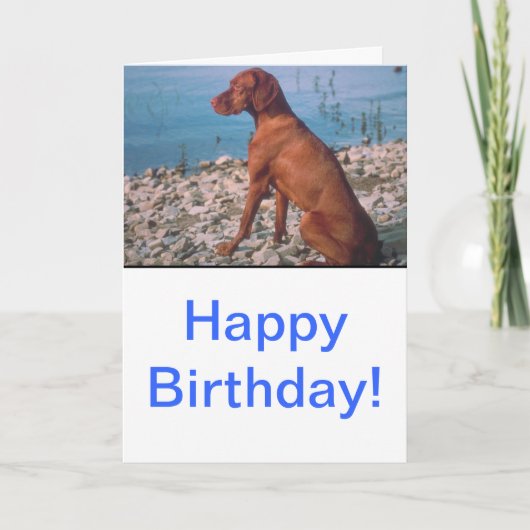 Vizsla カード (正面)