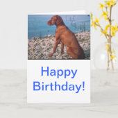 Vizsla カード (黄色い花)